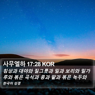 사무엘하 17:28 KOR Bible Verse Image