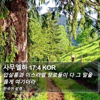 사무엘하 17:4 KOR Bible Verse Image