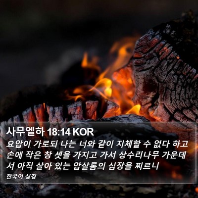 사무엘하 18:14 KOR Bible Verse Image
