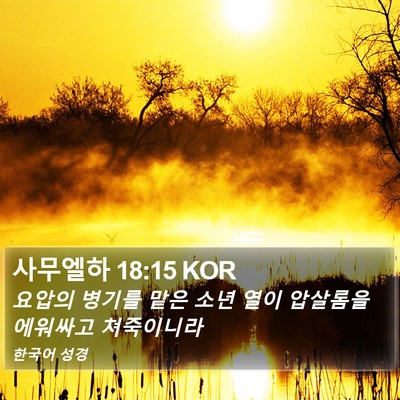 사무엘하 18:15 KOR Bible Verse Image