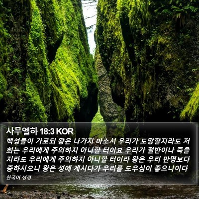 사무엘하 18:3 KOR Bible Verse Image
