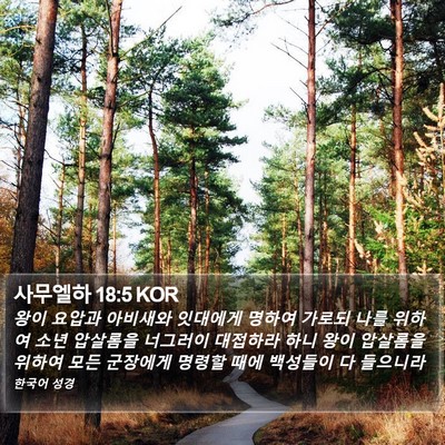 사무엘하 18:5 KOR Bible Verse Image