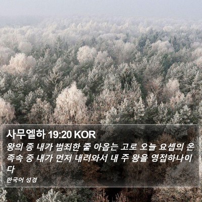 사무엘하 19:20 KOR Bible Verse Image