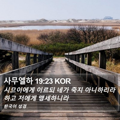 사무엘하 19:23 KOR Bible Verse Image