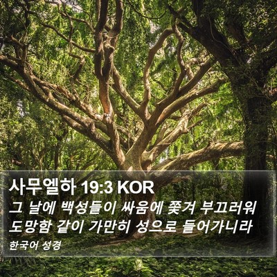 사무엘하 19:3 KOR Bible Verse Image