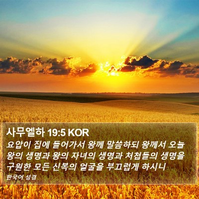 사무엘하 19:5 KOR Bible Verse Image