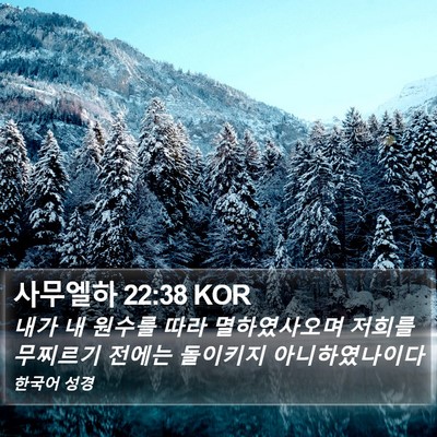 사무엘하 22:38 KOR Bible Verse Image