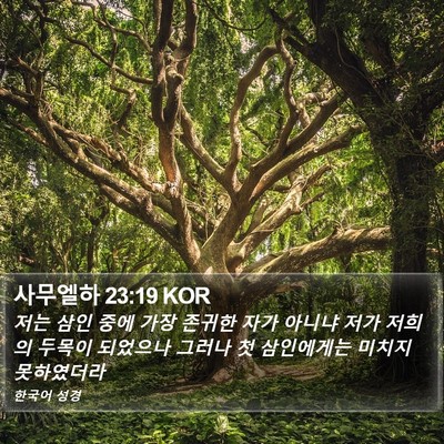 사무엘하 23:19 KOR Bible Verse Image