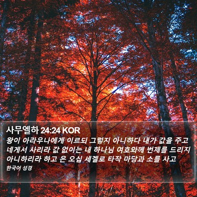 사무엘하 24:24 KOR Bible Verse Image