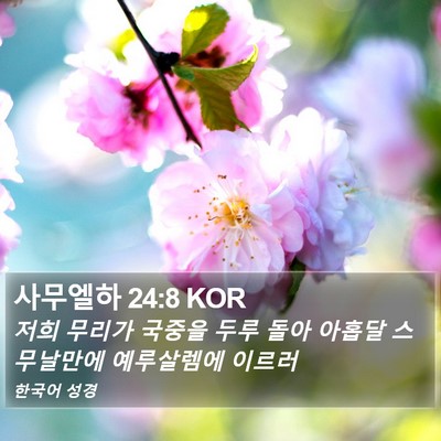 사무엘하 24:8 KOR Bible Verse Image