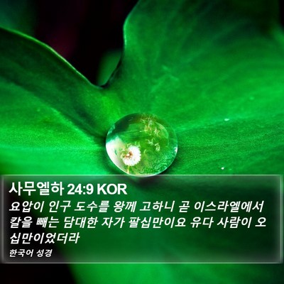 사무엘하 24:9 KOR Bible Verse Image