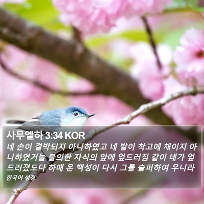 사무엘하 3:34 KOR Bible Verse Image