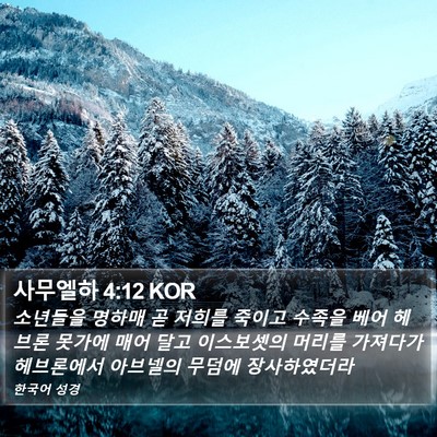 사무엘하 4:12 KOR Bible Verse Image