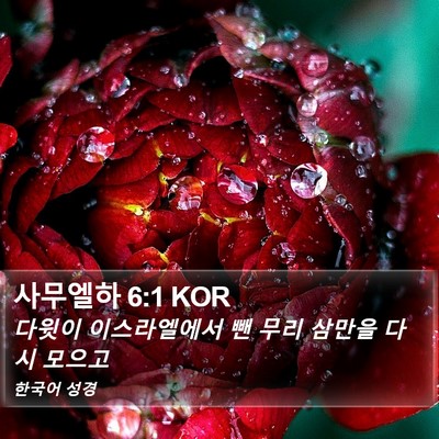 사무엘하 6:1 KOR Bible Verse Image