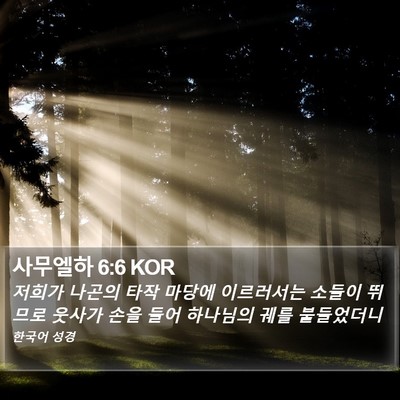 사무엘하 6:6 KOR Bible Verse Image