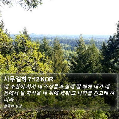사무엘하 7:12 KOR Bible Verse Image