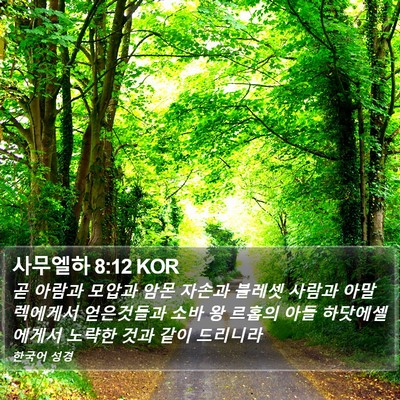 사무엘하 8:12 KOR Bible Verse Image