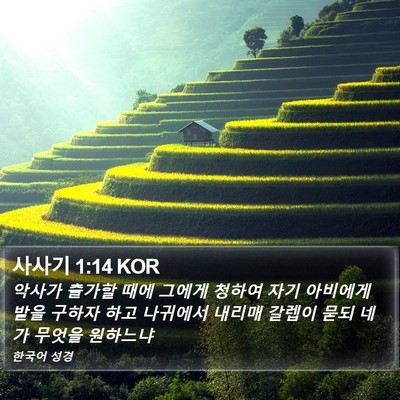 사사기 1:14 KOR Bible Verse Image