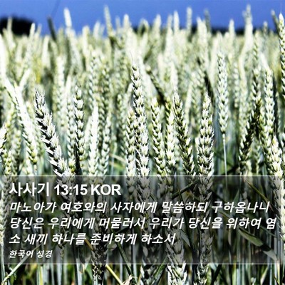사사기 13:15 KOR Bible Verse Image