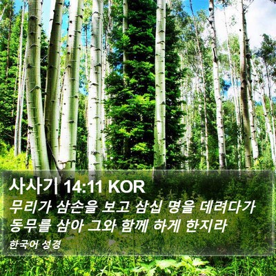 사사기 14:11 KOR Bible Verse Image