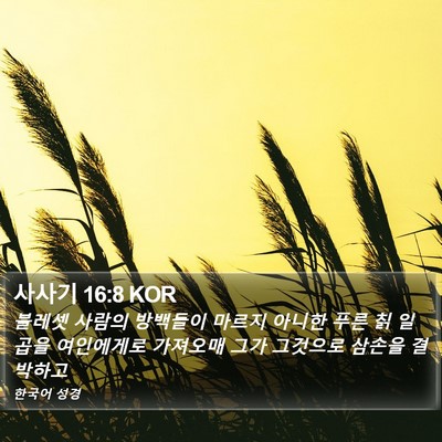 사사기 16:8 KOR Bible Verse Image
