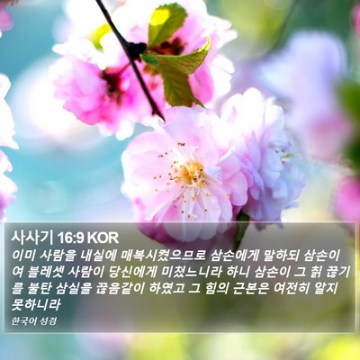 사사기 16:9 KOR Bible Verse Image