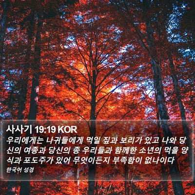 사사기 19:19 KOR Bible Verse Image