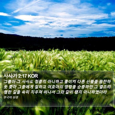 사사기 2:17 KOR Bible Verse Image