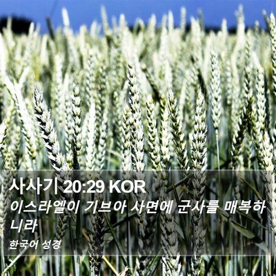 사사기 20:29 KOR Bible Verse Image
