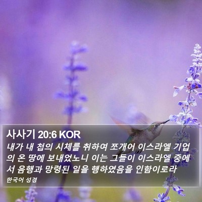 사사기 20:6 KOR Bible Verse Image