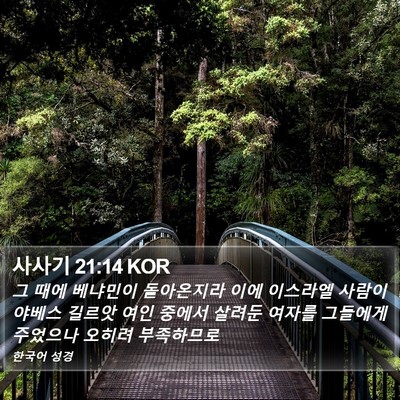 사사기 21:14 KOR Bible Verse Image
