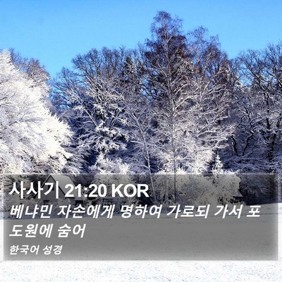 사사기 21:20 KOR Bible Verse Image