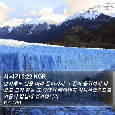 사사기 3:22 KOR Bible Verse Image