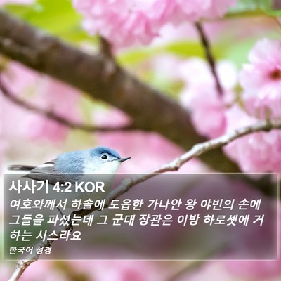 사사기 4:2 KOR Bible Verse Image