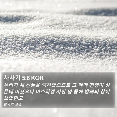사사기 5:8 KOR Bible Verse Image