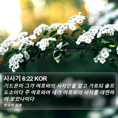 사사기 6:22 KOR Bible Verse Image