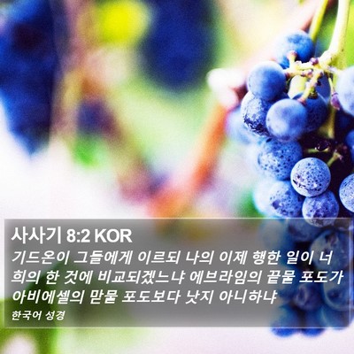 사사기 8:2 KOR Bible Verse Image