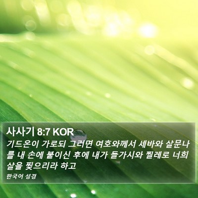 사사기 8:7 KOR Bible Verse Image
