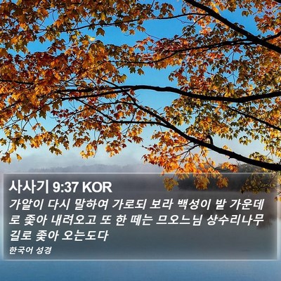 사사기 9:37 KOR Bible Verse Image