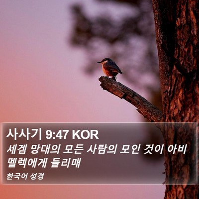 사사기 9:47 KOR Bible Verse Image