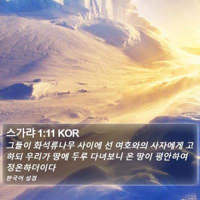 스가랴 1:11 KOR Bible Verse Image