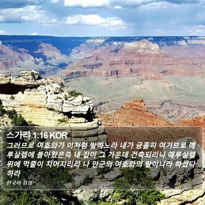 스가랴 1:16 KOR Bible Verse Image