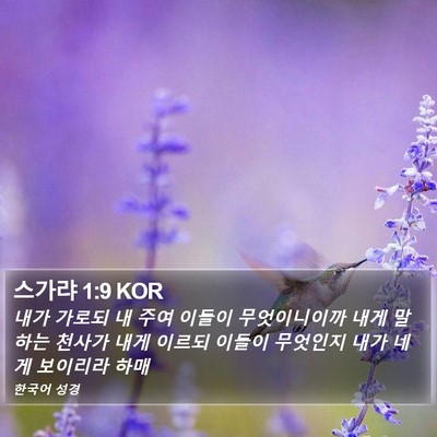 스가랴 1:9 KOR Bible Verse Image