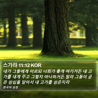 스가랴 11:12 KOR Bible Verse Image