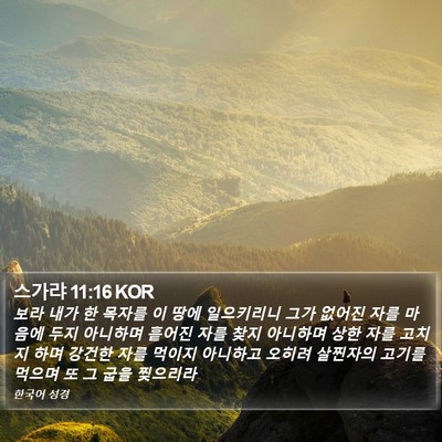 스가랴 11:16 KOR Bible Verse Image