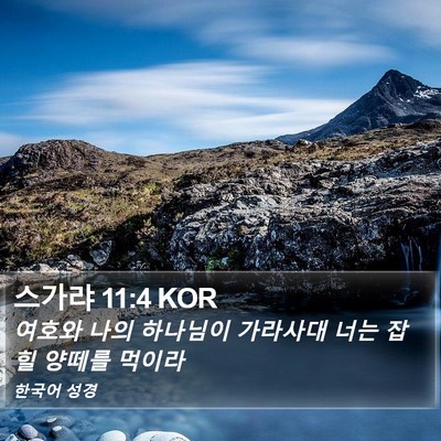 스가랴 11:4 KOR Bible Verse Image