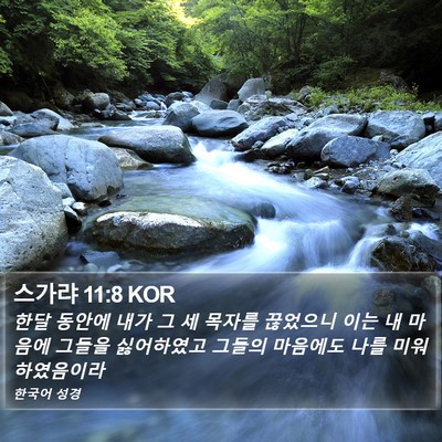 스가랴 11:8 KOR Bible Verse Image