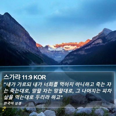 스가랴 11:9 KOR Bible Verse Image