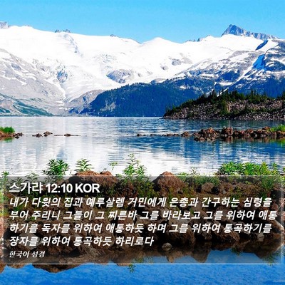 스가랴 12:10 KOR Bible Verse Image