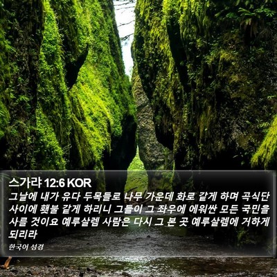 스가랴 12:6 KOR Bible Verse Image